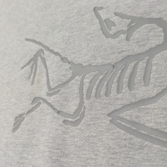 Arc’teryx Archaeopteryx Pullover Hoodie - Picture 5 of 8